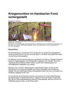 Kriegsmunition im Hambacher Forst sichergestellt - Stadtportal city