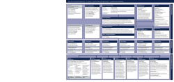 Organigramm des Verbands - bga