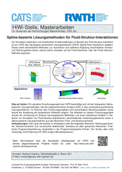 HiWi-Stelle, Masterarbeiten