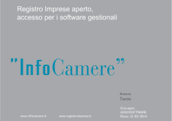 InfoCamere Tonini Convegno Assosoftware 12 feb 2014