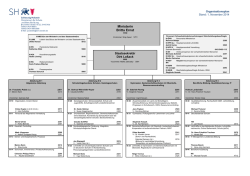 Organigramm des Ministeriums f&uuml;r  Schule  und Berufsbildung des