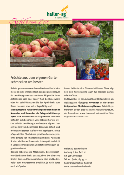 Apfel baum- Zeit  - Baumschule Haller  AG
