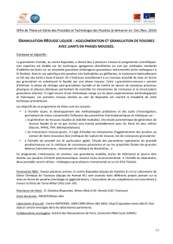 Granulation - Mousse liquides