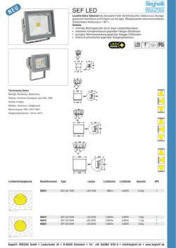 SEF  LED  - Beghelli Pr&auml;zisa GmbH