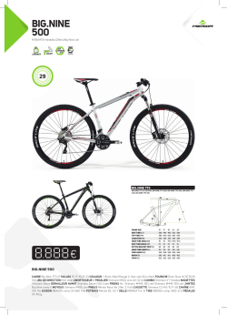 Big.NiNe 500 - Merida Bikes