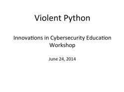 Violent Python