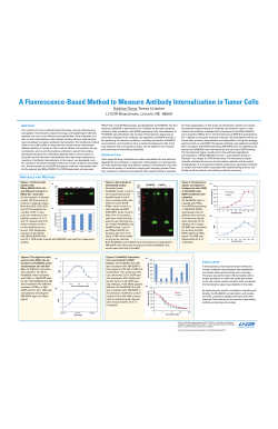 A Fluorescence-Based Method to Measure Antibody Internalization
