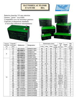 BATTERIES AU PLOMB ETANCHE BEL