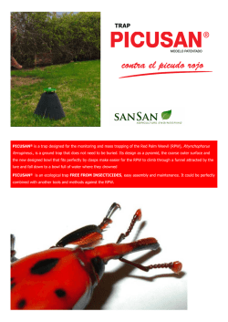 Download flyer