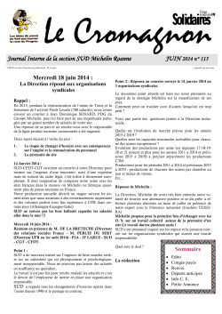 Journal Interne de la section SUD Michelin Roanne JUIN 2014 n
