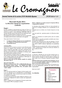 Journal Interne de la section SUD Michelin Roanne JUIN 2014 n