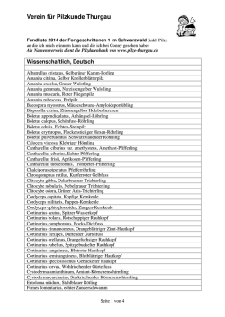 Anmeldung aktuelles Ferienprogramm (PDF | 396,02 KB)