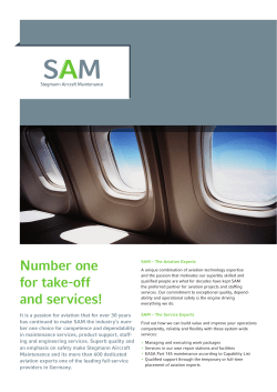 For businesses - SAM aircraft maintenance services