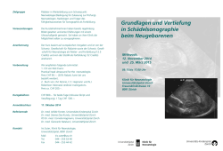 Illerdurchblick 16 03 15 2015 - Freie Waldorfschule am Illerblick
