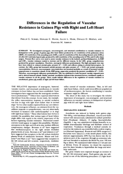 Differences in the Regulation of Vascular Resistance in Guinea Pigs
