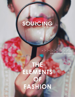 THE ELEMENTS OF FASHION