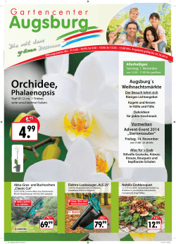 Orchidee, - Gartencenter Augsburg