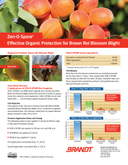 Zen-O-Spore® Effective Organic Protection for Brown Rot Blossom
