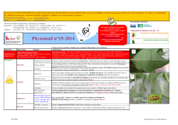 Phytomail 2014-19 ( CS,AD, EM).xlsx