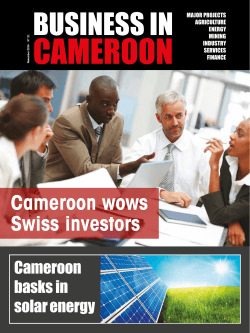 Cameroon wows Swiss investors