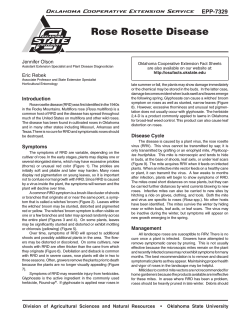EPP-7329 Rose Rosette Disease - OSU Fact Sheets