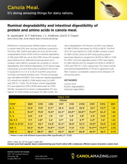 Ruminal degradability and intestinal digestibility of