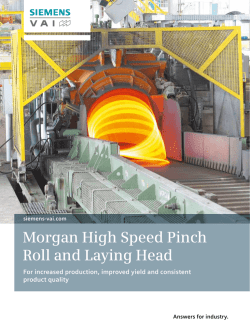 Morgan High Speed Pinch Roll and Laying Head