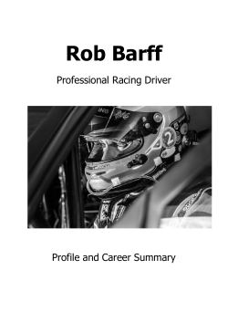 Profile and Career Summary (PDF Document)