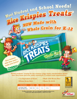 38000 10906 RKT Whole Grain Rice Krispies Treats for Schools US