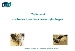 traitement contre les insectes à larves xylophages et champignons