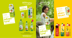 H&ouml;llinger Flyer