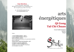 Plaquette arts énergétiques