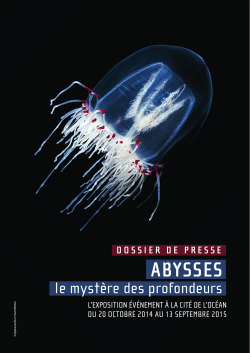 Expo les Abysses
