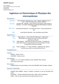 Ing&eacute;nieur en Electronique et Physique des microsyst&egrave;mes
