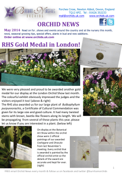 ORCHID NEWS RHS Gold Medal in London!