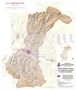 Elaborato CSV 25 - Comune di Borgo San Lorenzo