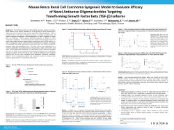 Mouse Renca Renal Cell Carcinoma Syngeneic Model to Evaluate