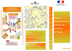 Organigramme de la DDPP