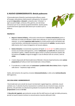 IL NUOVO GEMMODERIVATO: Betula pubescens