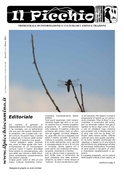 il picchio n. 16 (mar. 2014)