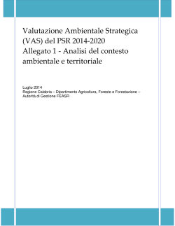 Allegato_1_Analisi_contesto_ambientale_e_territoriale