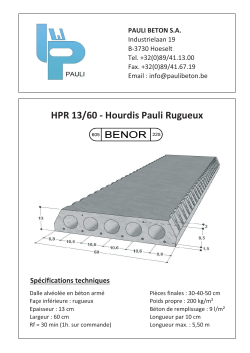 HPR 13/60 - Hourdis Pauli Rugueux