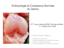 Genou - Embryologie et Croissance - Geffroy -18-03-2014