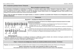 TD9 comparaison g&eacute;n&eacute;tique Homme/chimpanz&eacute;