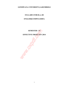 B. A. File VI th semester - Gondwana University, Gadchiroli