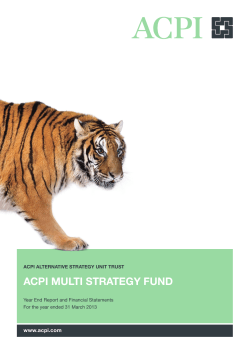 ACPI Multi Strategy Fund (Mar 31 2013)