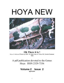 HOYA NEW - Hoyas and Their Relatives