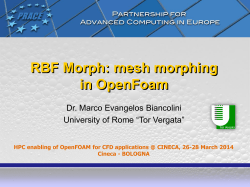 RBF Morph: mesh morphing in OpenFoam