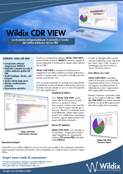 Wildix CDR VIEW
