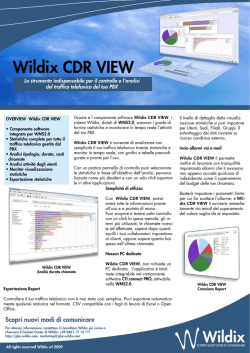 Wildix CDR VIEW